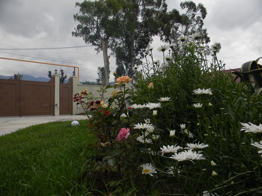 Villa Qero Batoumi Extérieur photo